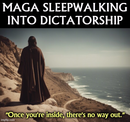 You were warned a year ago. We were right. Trump wants unrestrained action like any teenager. | MAGA SLEEPWALKING INTO DICTATORSHIP; "Once you're inside, there's no way out." | image tagged in maga,right wing,republicans,sleep,fascist,dictator | made w/ Imgflip meme maker