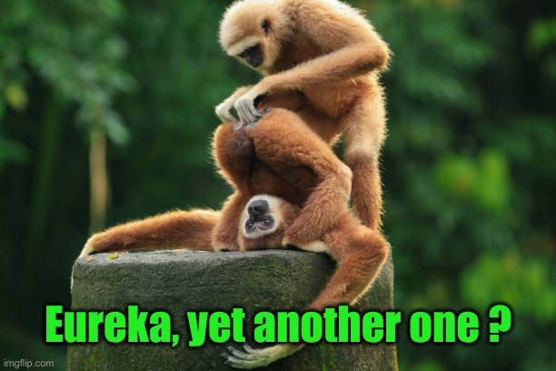 Pulled out of your ass monkeys | Eureka, yet another one ? | image tagged in pulled out of your ass monkeys | made w/ Imgflip meme maker
