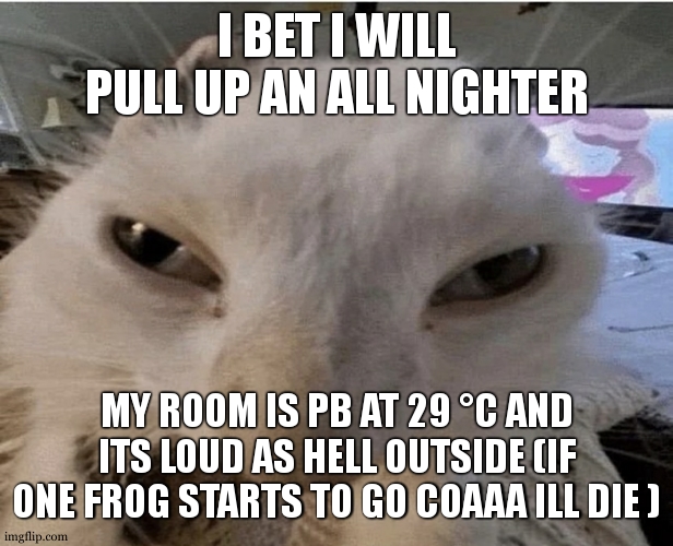 Pluh cat | I BET I WILL PULL UP AN ALL NIGHTER; MY ROOM IS PB AT 29 °C AND ITS LOUD AS HELL OUTSIDE (IF ONE FROG STARTS TO GO COAAA ILL DIE ) | image tagged in g | made w/ Imgflip meme maker