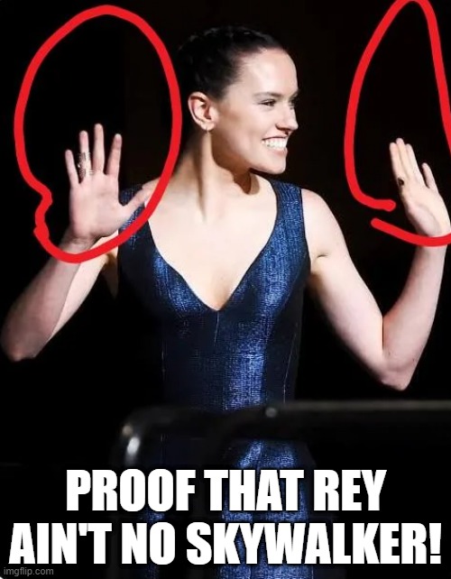 2 Hands! | PROOF THAT REY AIN'T NO SKYWALKER! | image tagged in skywalker | made w/ Imgflip meme maker