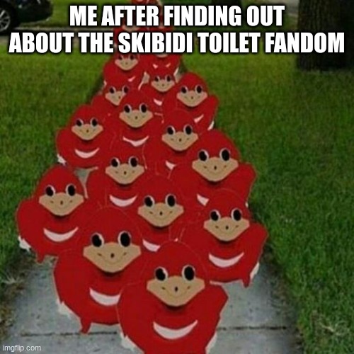 Ugandan knuckles army | ME AFTER FINDING OUT ABOUT THE SKIBIDI TOILET FANDOM | image tagged in ugandan knuckles army | made w/ Imgflip meme maker