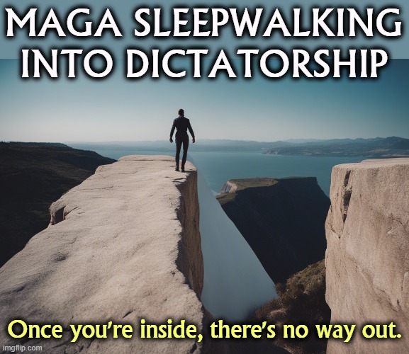 MAGA SLEEPWALKING
INTO DICTATORSHIP; Once you're inside, there's no way out. | image tagged in maga,right wing,republican,sleep,fascist,dictator | made w/ Imgflip meme maker