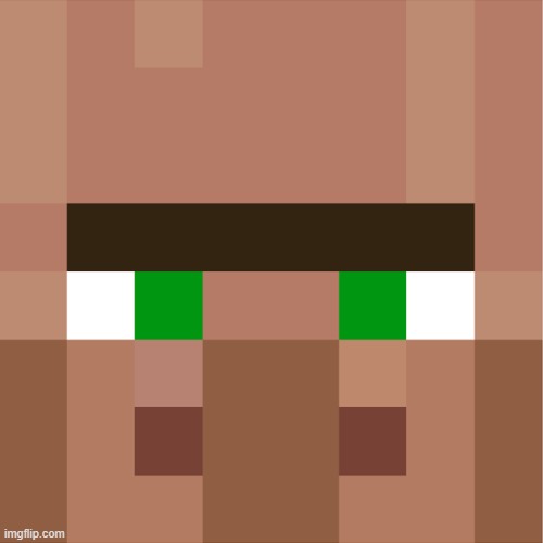 Minecraft Villager | image tagged in minecraft villager | made w/ Imgflip meme maker