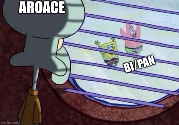 Ayyyyyyy | AROACE; BI/PAN | image tagged in squidward window | made w/ Imgflip meme maker