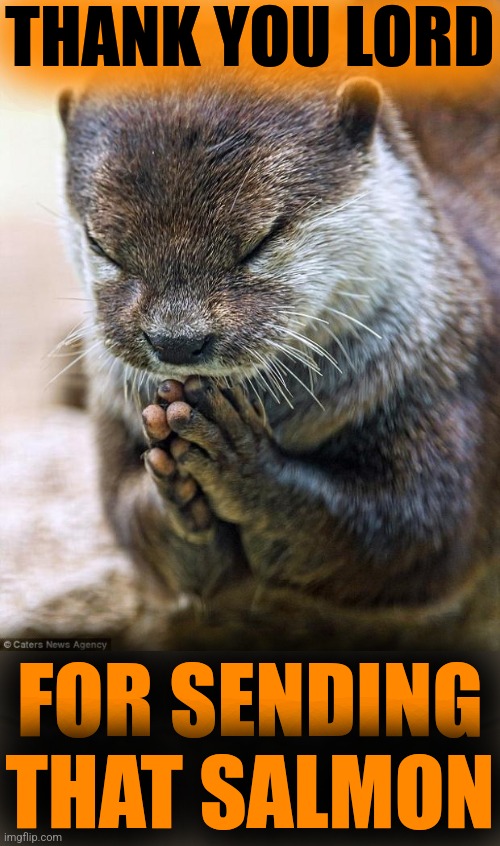 Thank you Lord Otter | THANK YOU LORD FOR SENDING THAT SALMON | image tagged in thank you lord otter | made w/ Imgflip meme maker