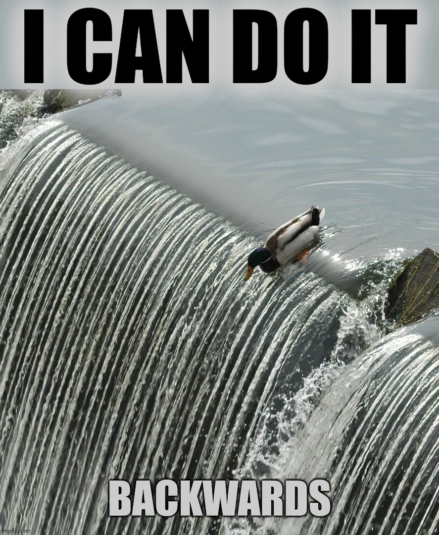 Duck over waterfall | I CAN DO IT BACKWARDS | image tagged in duck over waterfall | made w/ Imgflip meme maker