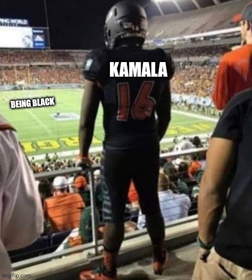 How x feel | KAMALA; BEING BLACK | image tagged in how x feel,funny memes | made w/ Imgflip meme maker