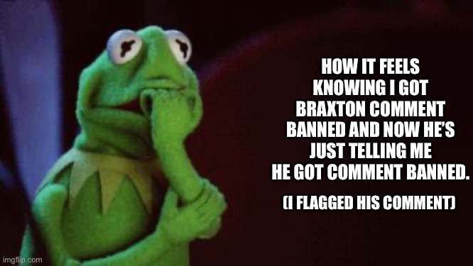 This is awkward | HOW IT FEELS KNOWING I GOT BRAXTON COMMENT BANNED AND NOW HE’S JUST TELLING ME HE GOT COMMENT BANNED. (I FLAGGED HIS COMMENT) | image tagged in nervous kermit | made w/ Imgflip meme maker