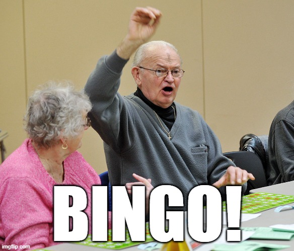 Bingo | BINGO! | image tagged in bingo | made w/ Imgflip meme maker