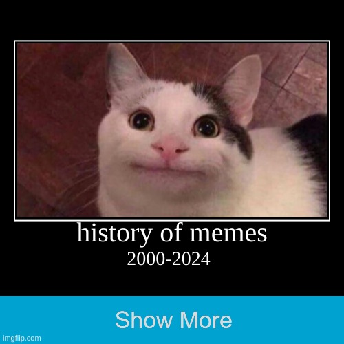 history of memez | history of memes | 2000-2024 | image tagged in funny,demotivationals | made w/ Imgflip demotivational maker