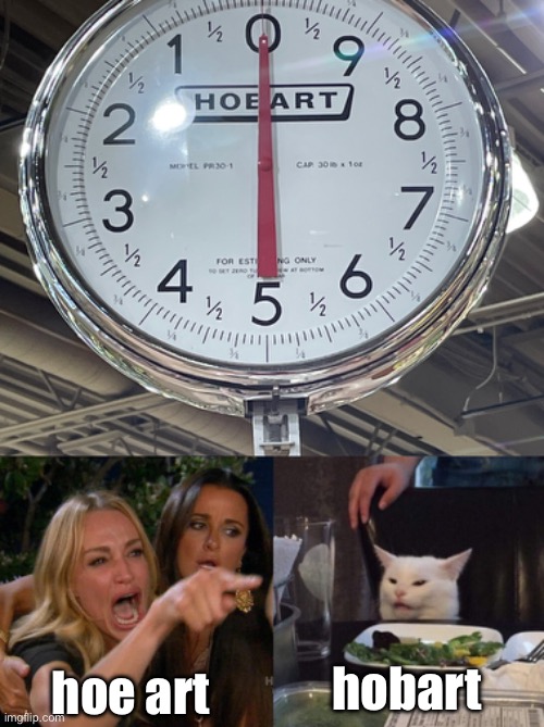 i love my job :) | hobart; hoe art | image tagged in woman yelling at cat,sign,design fail,wtf | made w/ Imgflip meme maker