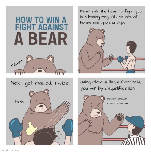 Bear fight | image tagged in bear,fight,bears,comics,comics/cartoons,fighting | made w/ Imgflip meme maker