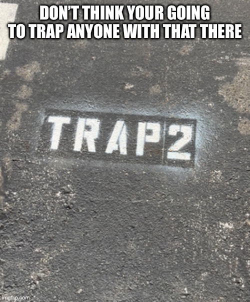 I don’t think so | DON’T THINK YOUR GOING TO TRAP ANYONE WITH THAT THERE | image tagged in dumb signs | made w/ Imgflip meme maker