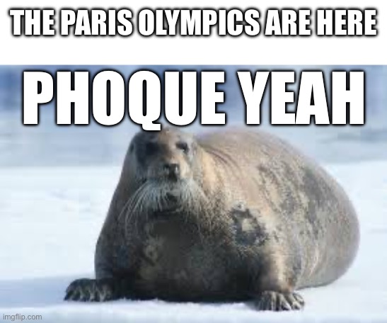 THE PARIS OLYMPICS ARE HERE; PHOQUE YEAH | image tagged in seal,france,paris olympics 2024,olympics,seal in french | made w/ Imgflip meme maker