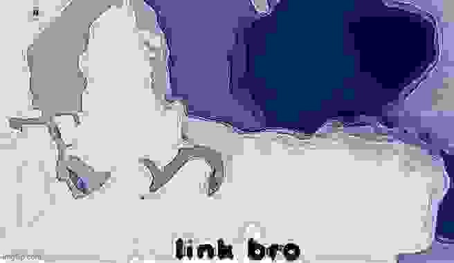 link bro | image tagged in link bro | made w/ Imgflip meme maker