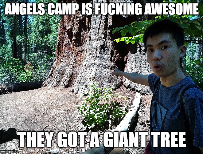 ANGELS CAMP IS FUCKING AWESOME; THEY GOT A GIANT TREE | made w/ Imgflip meme maker