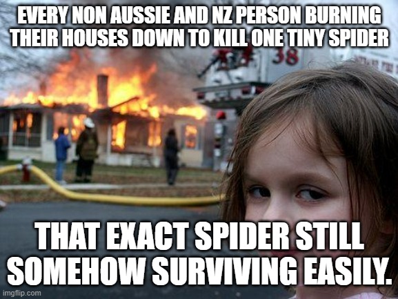 just why | EVERY NON AUSSIE AND NZ PERSON BURNING THEIR HOUSES DOWN TO KILL ONE TINY SPIDER; THAT EXACT SPIDER STILL SOMEHOW SURVIVING EASILY. | image tagged in memes,disaster girl | made w/ Imgflip meme maker