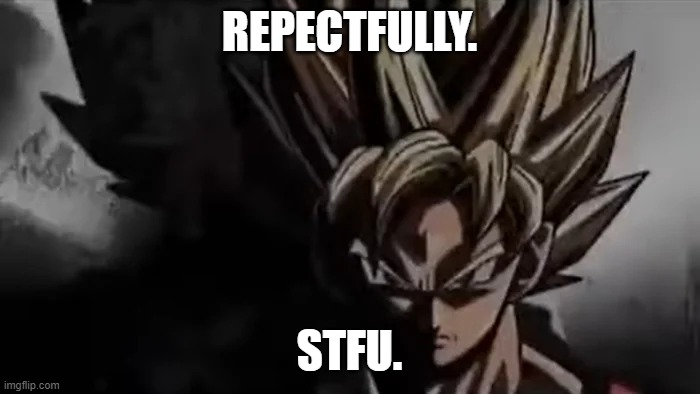 Goku Staring | REPECTFULLY. STFU. | image tagged in goku staring | made w/ Imgflip meme maker