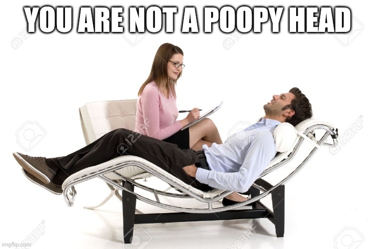 Therapist | YOU ARE NOT A POOPY HEAD | image tagged in therapist | made w/ Imgflip meme maker
