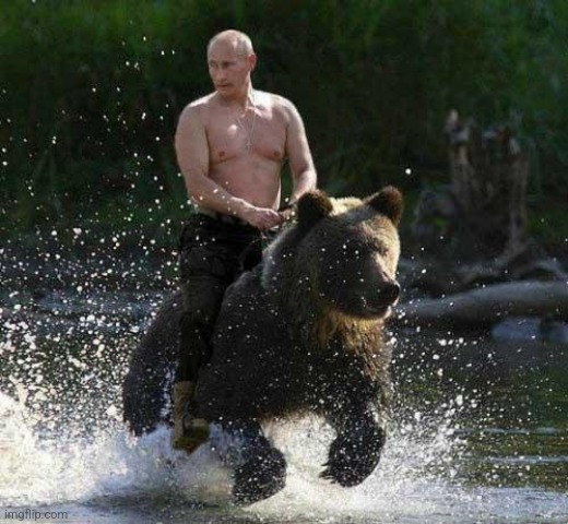 Putin Thats Cute | image tagged in putin thats cute | made w/ Imgflip meme maker