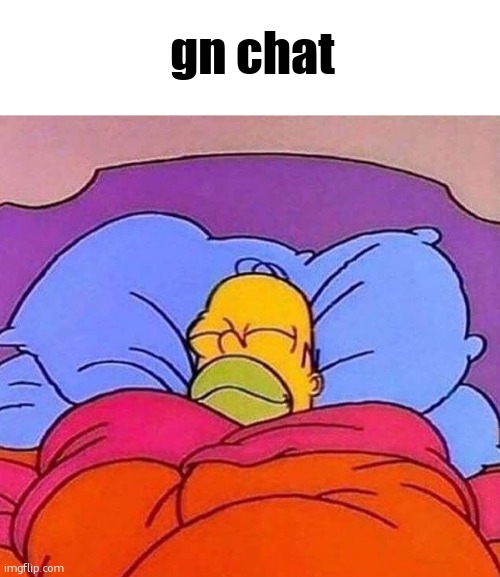 its 1:55 am | gn chat | image tagged in homer simpson sleeping peacefully | made w/ Imgflip meme maker