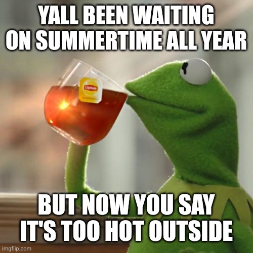 Kermit summertime | YALL BEEN WAITING ON SUMMERTIME ALL YEAR; BUT NOW YOU SAY IT'S TOO HOT OUTSIDE | image tagged in memes,but that's none of my business,kermit the frog | made w/ Imgflip meme maker