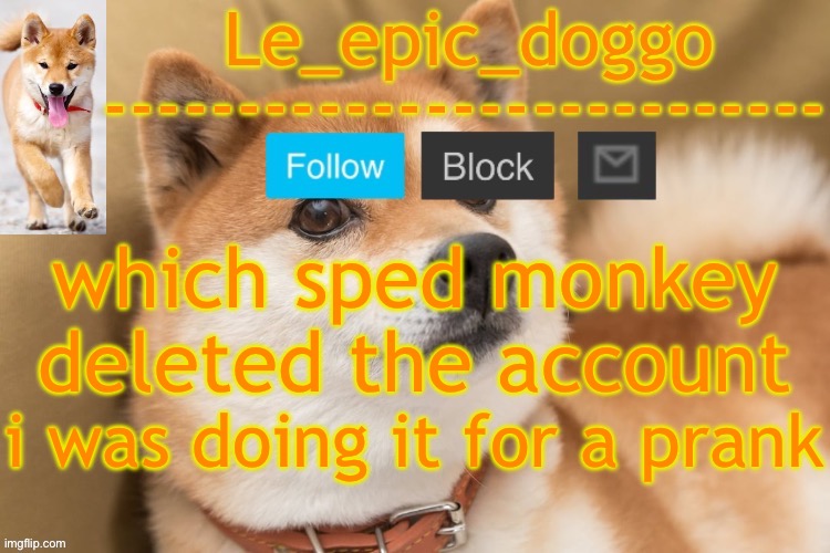 epic doggo's temp back in old fashion | which sped monkey deleted the account; i was doing it for a prank | image tagged in epic doggo's temp back in old fashion | made w/ Imgflip meme maker