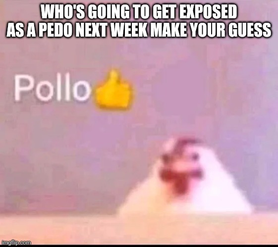 Pollo | WHO'S GOING TO GET EXPOSED AS A PEDO NEXT WEEK MAKE YOUR GUESS | image tagged in pollo | made w/ Imgflip meme maker
