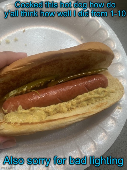 Cooked this hot dog how do y’all think how well I did from 1-10; Also sorry for bad lighting | made w/ Imgflip meme maker