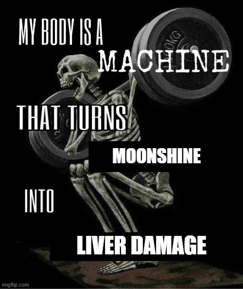 Just another DAY that ends in Y | MOONSHINE; LIVER DAMAGE | image tagged in my body is machine | made w/ Imgflip meme maker