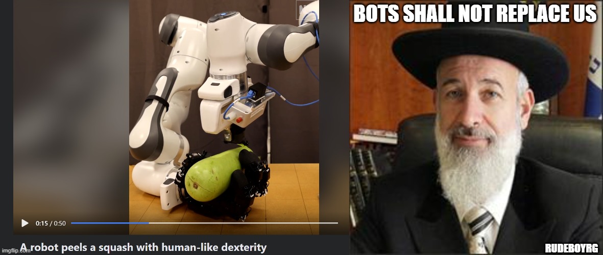 Bots Shall Not Replace Us | BOTS SHALL NOT REPLACE US; RUDEBOYRG | image tagged in chief rabbi,robot peeling vegetables,circumcision | made w/ Imgflip meme maker