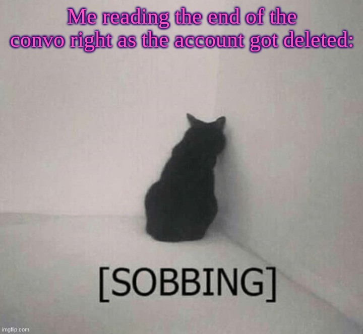 Sobbing cat | Me reading the end of the convo right as the account got deleted: | image tagged in sobbing cat | made w/ Imgflip meme maker