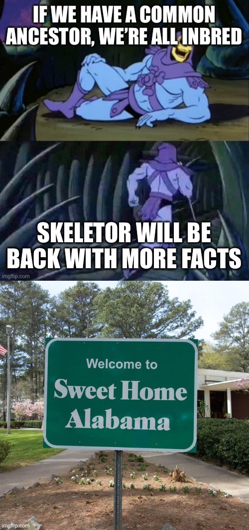 Island Boys be like | IF WE HAVE A COMMON ANCESTOR, WE’RE ALL INBRED; SKELETOR WILL BE BACK WITH MORE FACTS | image tagged in skeletor disturbing facts,welcome to sweet home alabama,inbred,alabama,lmao,why are you reading the tags | made w/ Imgflip meme maker