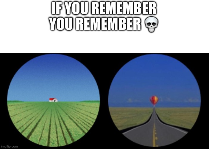 IF YOU REMEMBER YOU REMEMBER 💀 | made w/ Imgflip meme maker