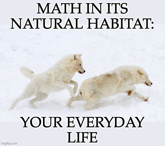 MATH IN ITS NATURAL HABITAT: YOUR EVERYDAY
LIFE | made w/ Imgflip meme maker