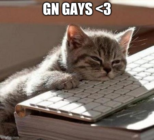 tired cat | GN GAYS <3 | image tagged in tired cat | made w/ Imgflip meme maker