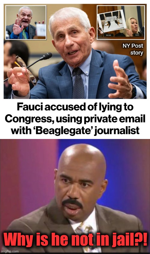 The worst criminal of the 21st century remains a free monster! | NY Post
story; Why is he not in jail?! | image tagged in steve harvey that face when,memes,fauci,democrats,lies | made w/ Imgflip meme maker