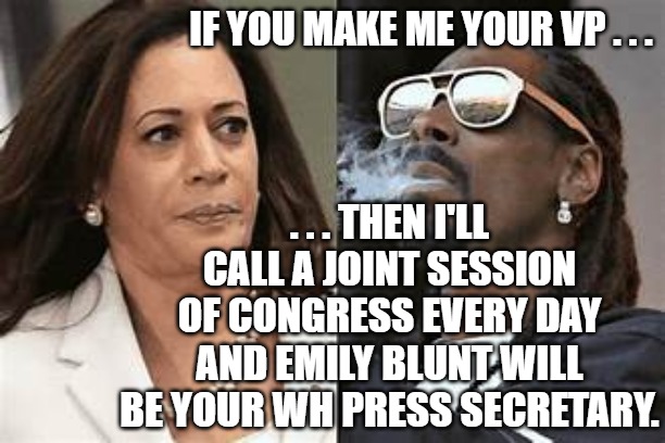 Kamala Harris | IF YOU MAKE ME YOUR VP . . . . . . THEN I'LL CALL A JOINT SESSION OF CONGRESS EVERY DAY AND EMILY BLUNT WILL BE YOUR WH PRESS SECRETARY. | image tagged in weed | made w/ Imgflip meme maker