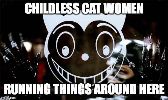 Catwomen by window | CHILDLESS CAT WOMEN; RUNNING THINGS AROUND HERE | image tagged in woman | made w/ Imgflip meme maker