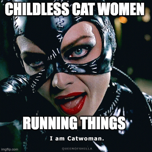 Hear Catwoman roar | CHILDLESS CAT WOMEN; RUNNING THINGS | image tagged in beautiful woman | made w/ Imgflip meme maker