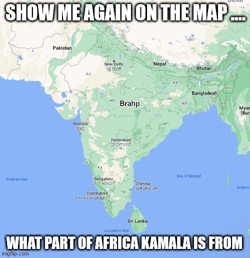 indian brown is the new black I guess. | SHOW ME AGAIN ON THE MAP .... WHAT PART OF AFRICA KAMALA IS FROM | image tagged in india,lie,race card | made w/ Imgflip meme maker