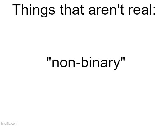 bro you can't be non-binary, there's only 2 genders and it's physicallay impossible to be non-binary | Things that aren't real:; "non-binary" | image tagged in blank white template,true | made w/ Imgflip meme maker