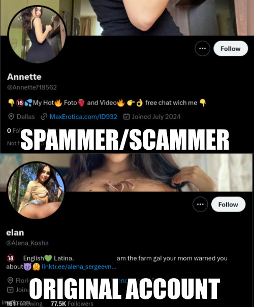 difference between spammer and original account | SPAMMER/SCAMMER; ORIGINAL ACCOUNT | image tagged in spammers | made w/ Imgflip meme maker