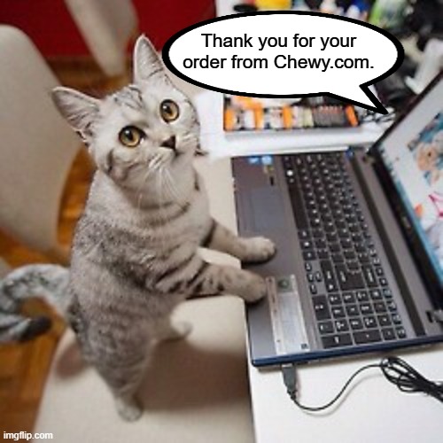 Computer Cat | Thank you for your order from Chewy.com. | image tagged in computer cat | made w/ Imgflip meme maker