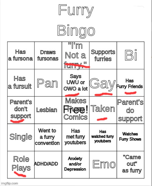 Incorrect | image tagged in furry bingo | made w/ Imgflip meme maker