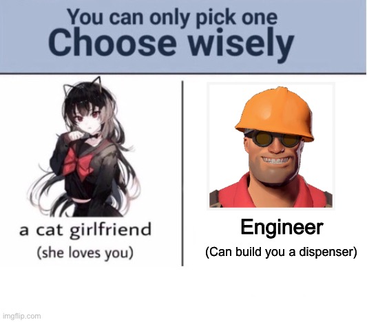 Easy choice, i wanna dispenser | Engineer; (Can build you a dispenser) | image tagged in choose wisely | made w/ Imgflip meme maker