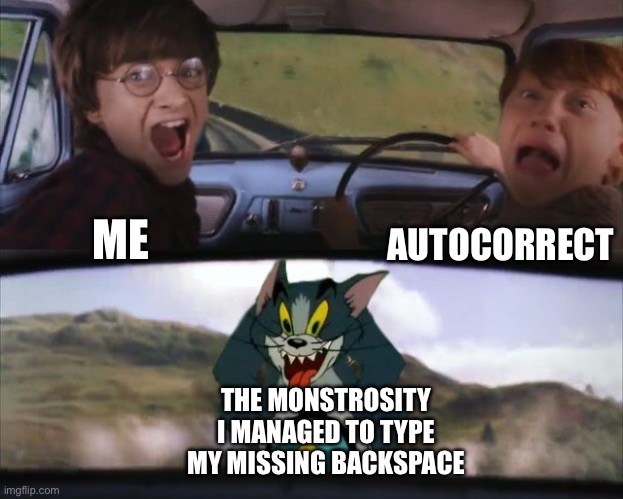 Just me? | AUTOCORRECT; ME; THE MONSTROSITY I MANAGED TO TYPE MY MISSING BACKSPACE | image tagged in tom chasing harry and ron weasly | made w/ Imgflip meme maker