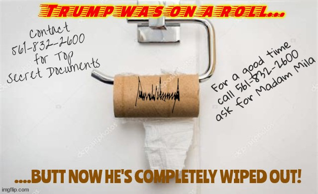 Trump's wiped out | image tagged in end of the roll,shit outta luck,trumpty dumpty,flush 15 times,downthe tubes,trump dump | made w/ Imgflip meme maker