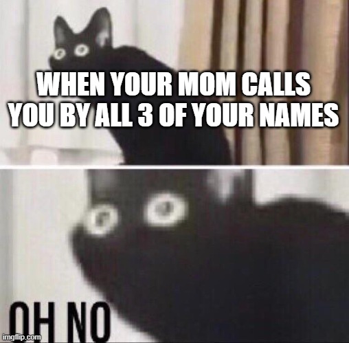 Oh no cat | WHEN YOUR MOM CALLS YOU BY ALL 3 OF YOUR NAMES | image tagged in oh no cat | made w/ Imgflip meme maker