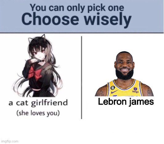 Choose wisely | Lebron james | image tagged in choose wisely | made w/ Imgflip meme maker